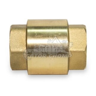 3/4" Threaded Spring Check Valve